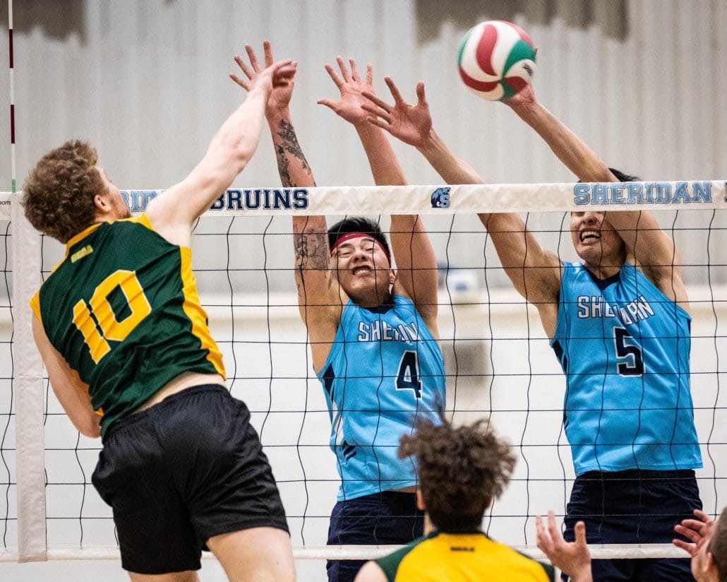 OCAA Volleyball game between the Sheridan Bruins and the St. Clair Saints
