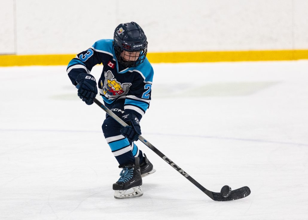 Ontario Minor Hockey Association championship action on March 29, 2026 at Sixteen Mile Sports Complex in Oakville